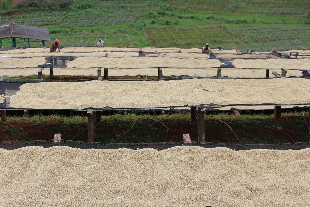 Kenya Cianda Espresso