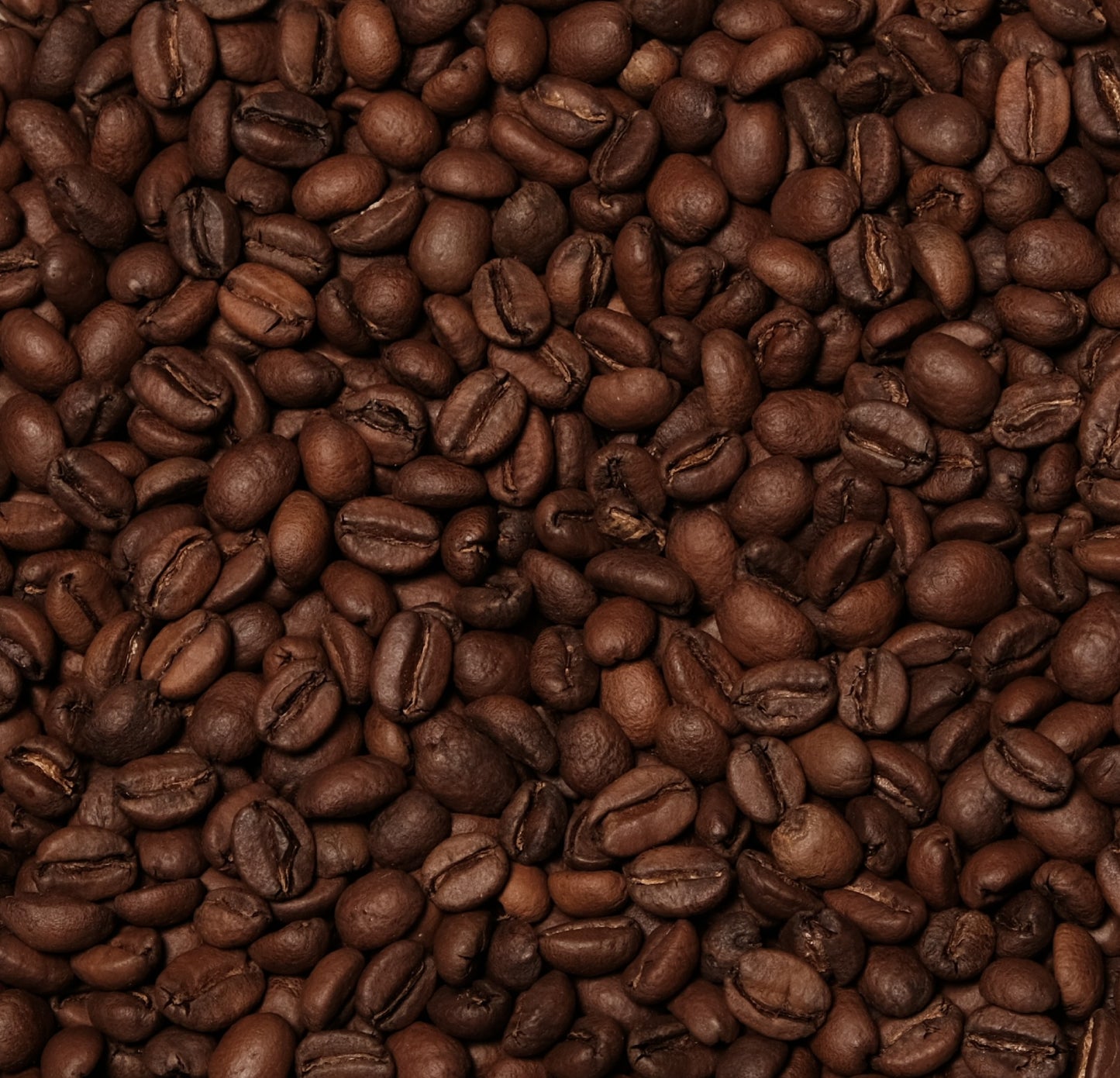 El Salvador Filter