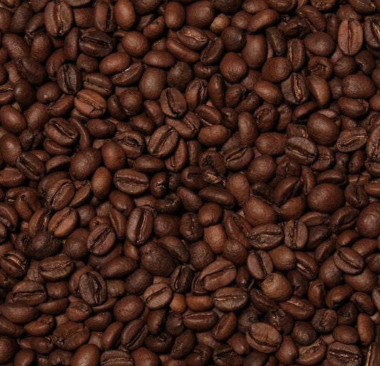 El Salvador Filter-Special