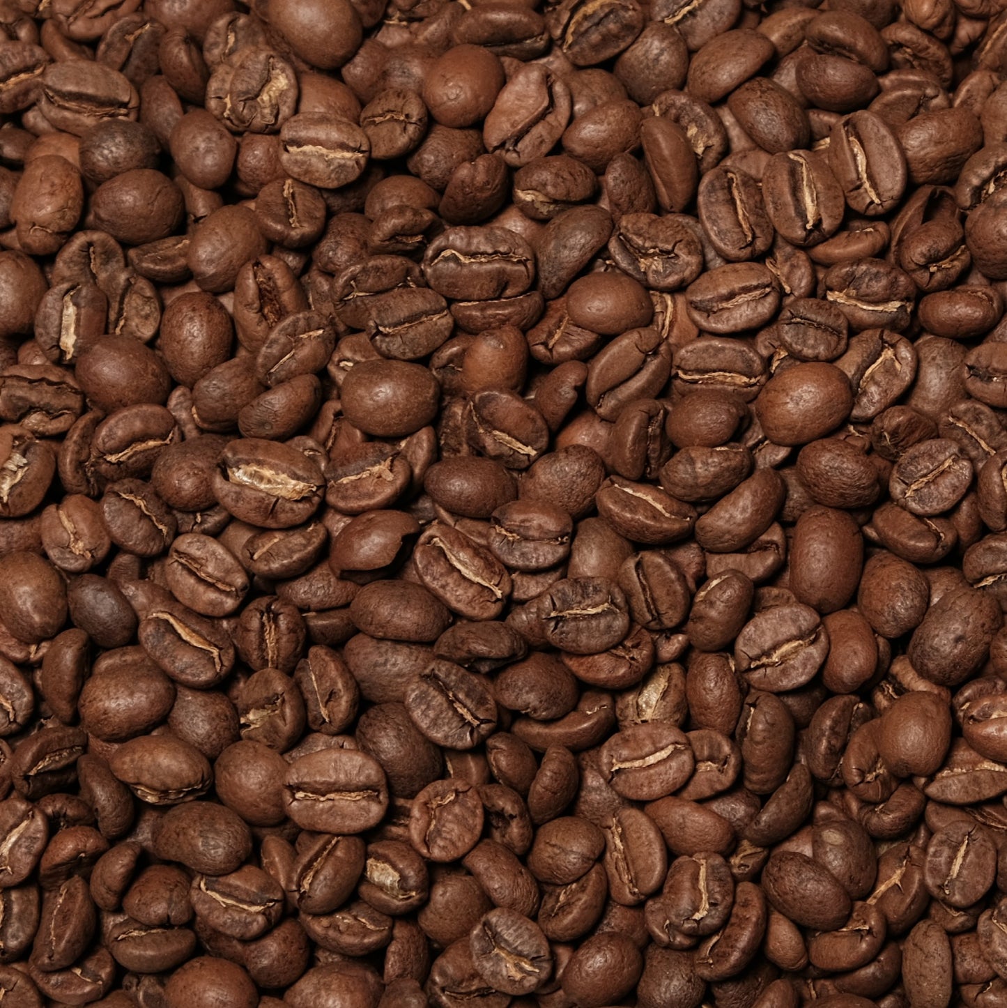 Kenya Ngurueri Filter