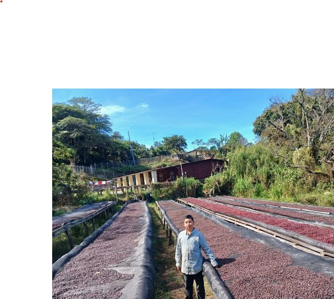 El Salvador Filter