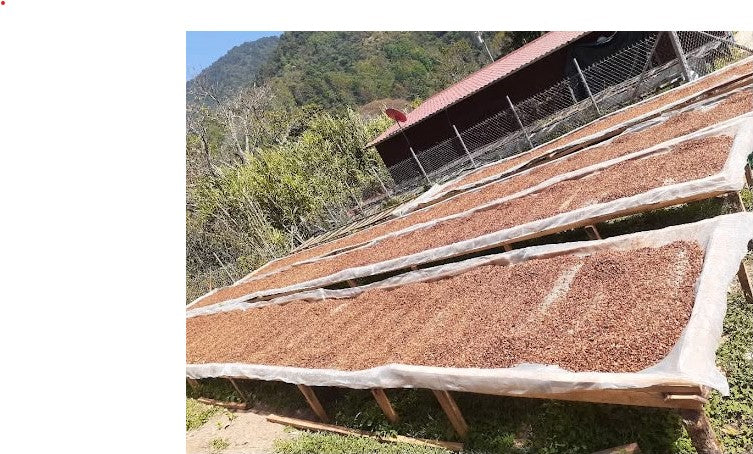 El Salvador Filter