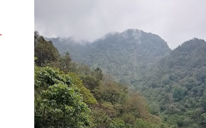 El Salvador Filter