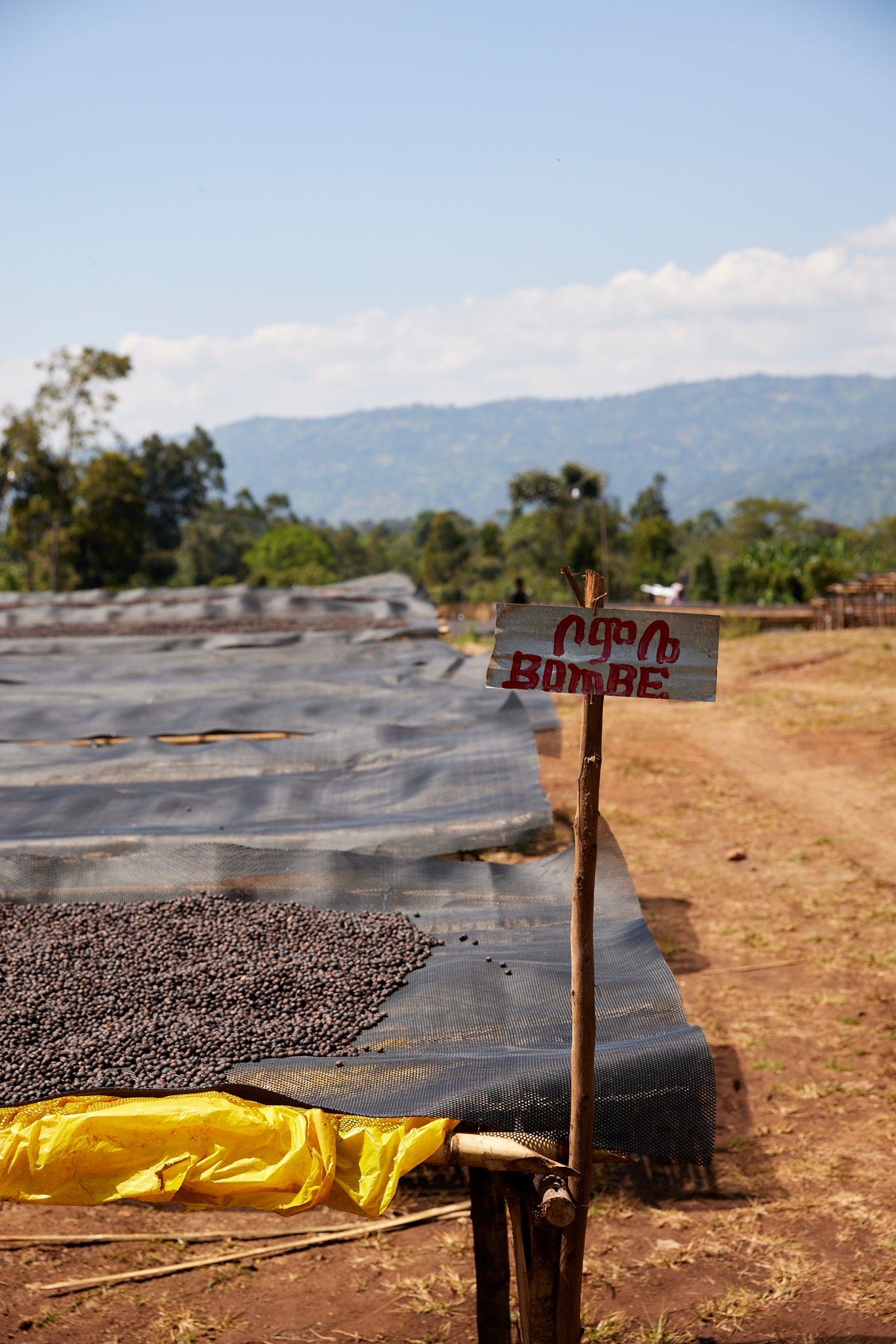 Ethiopia Bombe Espresso