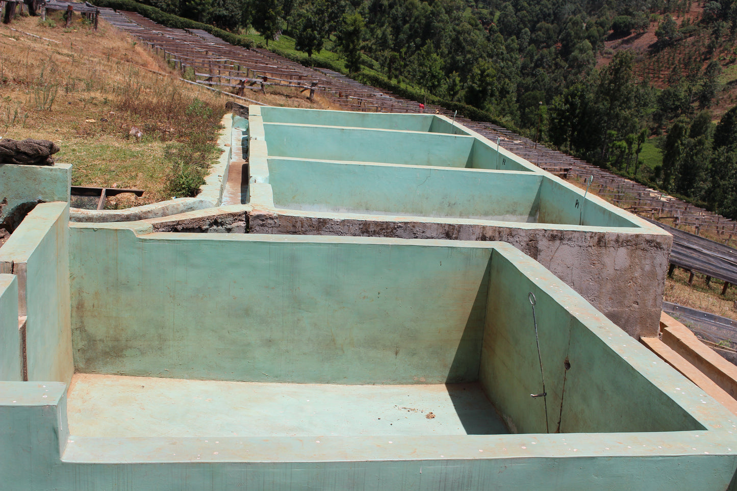 Kenya Ngurueri Filter