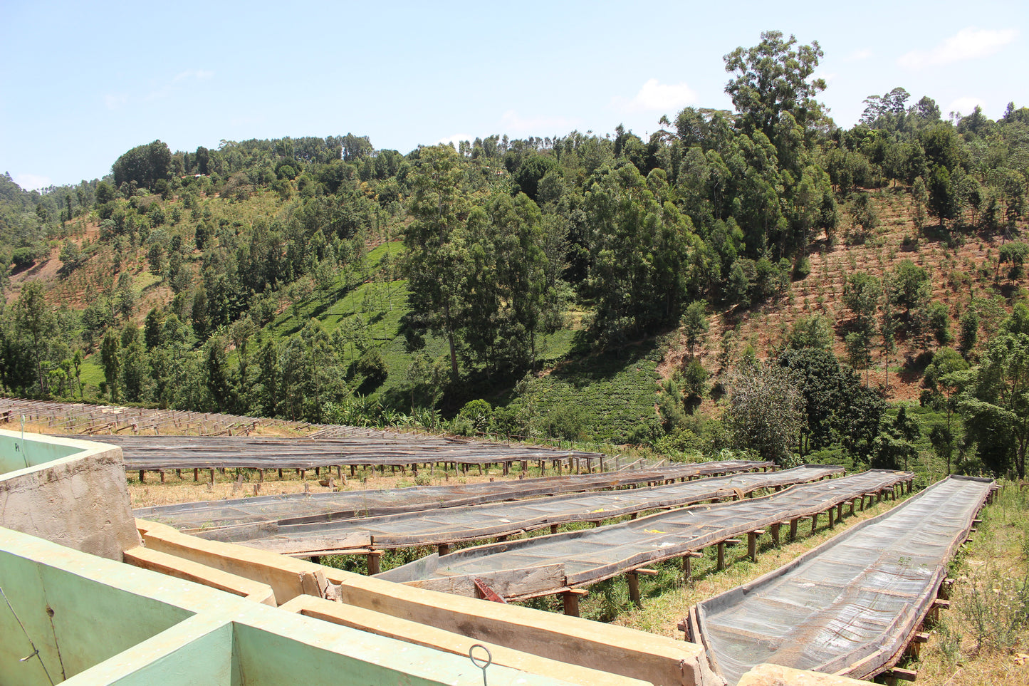 Kenya Ngurueri Filter