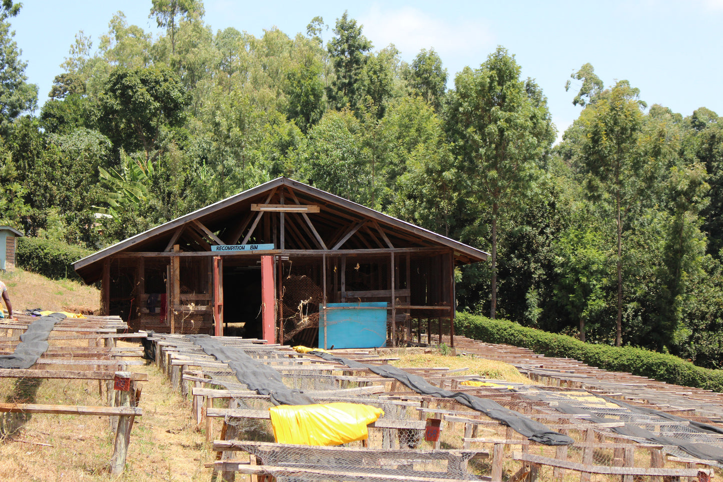 Kenya Ngurueri Filter