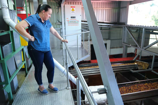 Costa Rica Las Lajas Filter