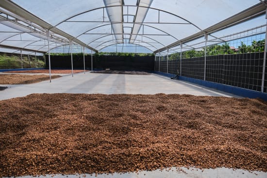 Costa Rica Las Lajas Filter