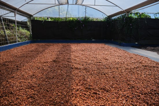 Costa Rica Las Lajas Filter